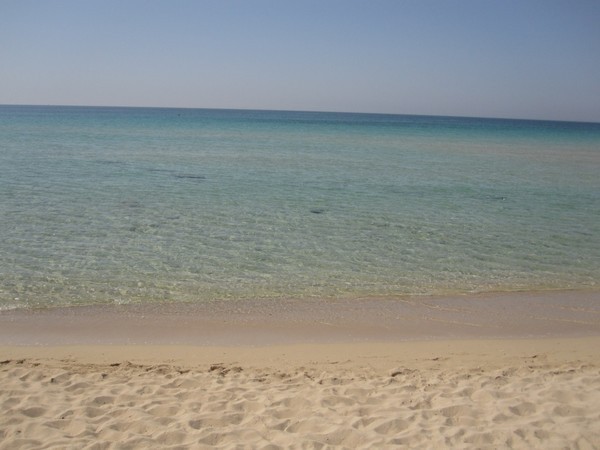 Spiaggia di Termitosa: Il primo paradiso naturista ufficiale della Puglia tra natura incontaminata e dibattiti